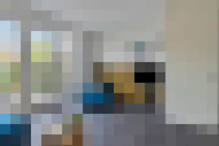 Broederwal 263 Helmond thumbnail 6