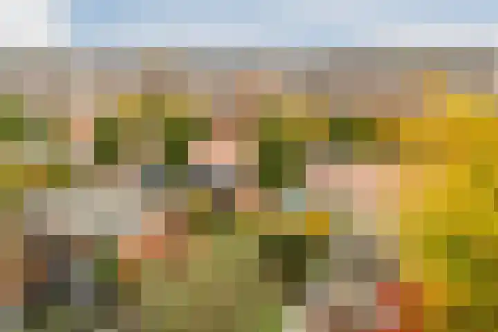 Broederwal 63 Helmond thumbnail 83