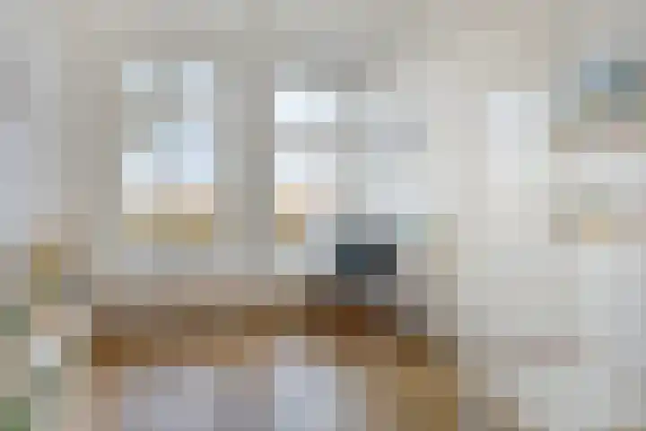 Broederwal 77 Helmond thumbnail 16