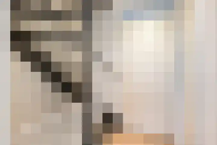 Broederwal 77 Helmond thumbnail 33