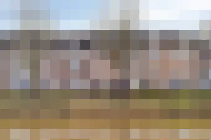 Broederwal 77 Helmond thumbnail 7