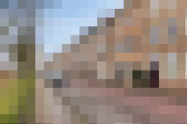 Broederwal 77 Helmond thumbnail 8