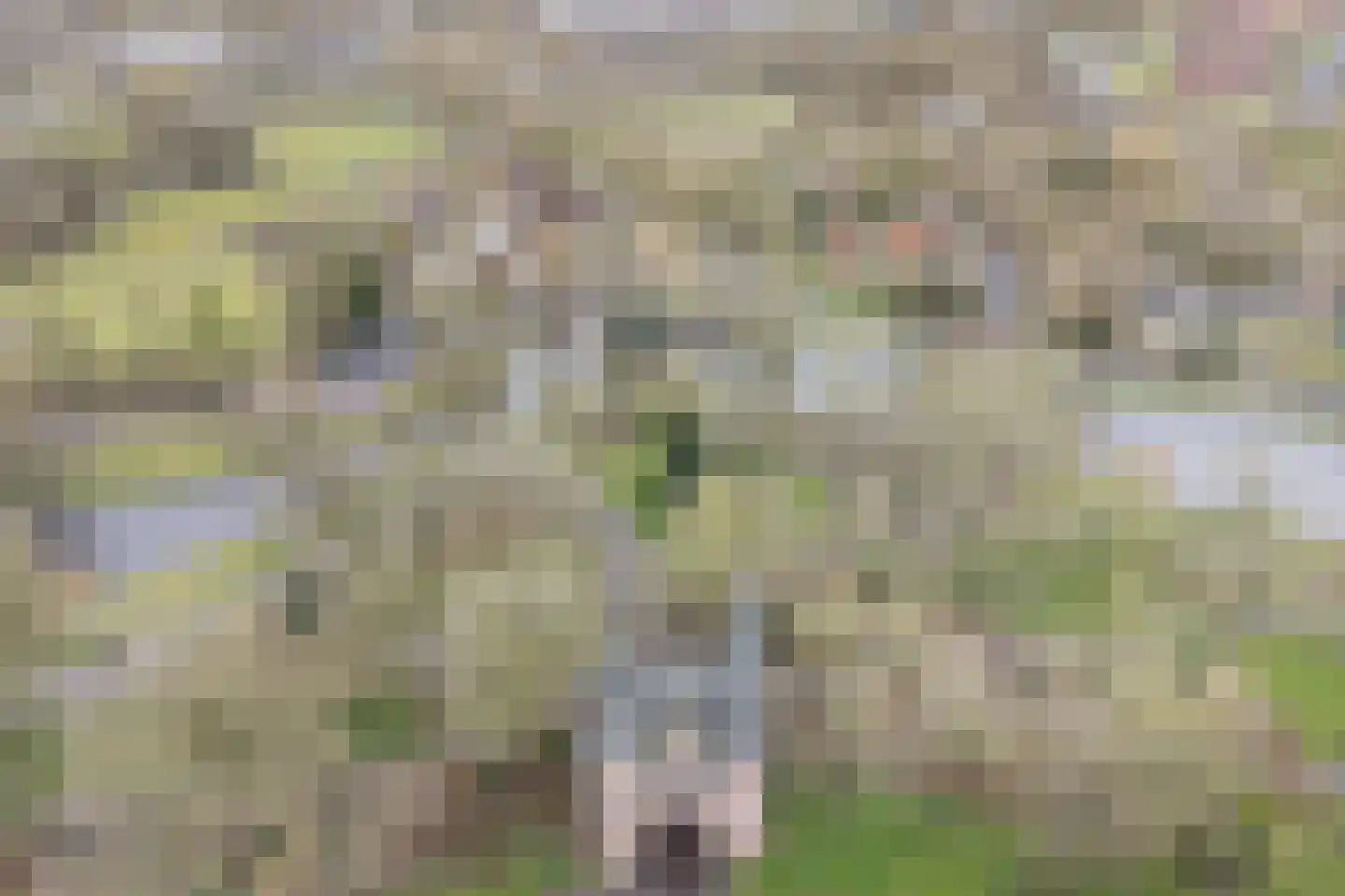Broederweg 16 Kampen thumbnail 33