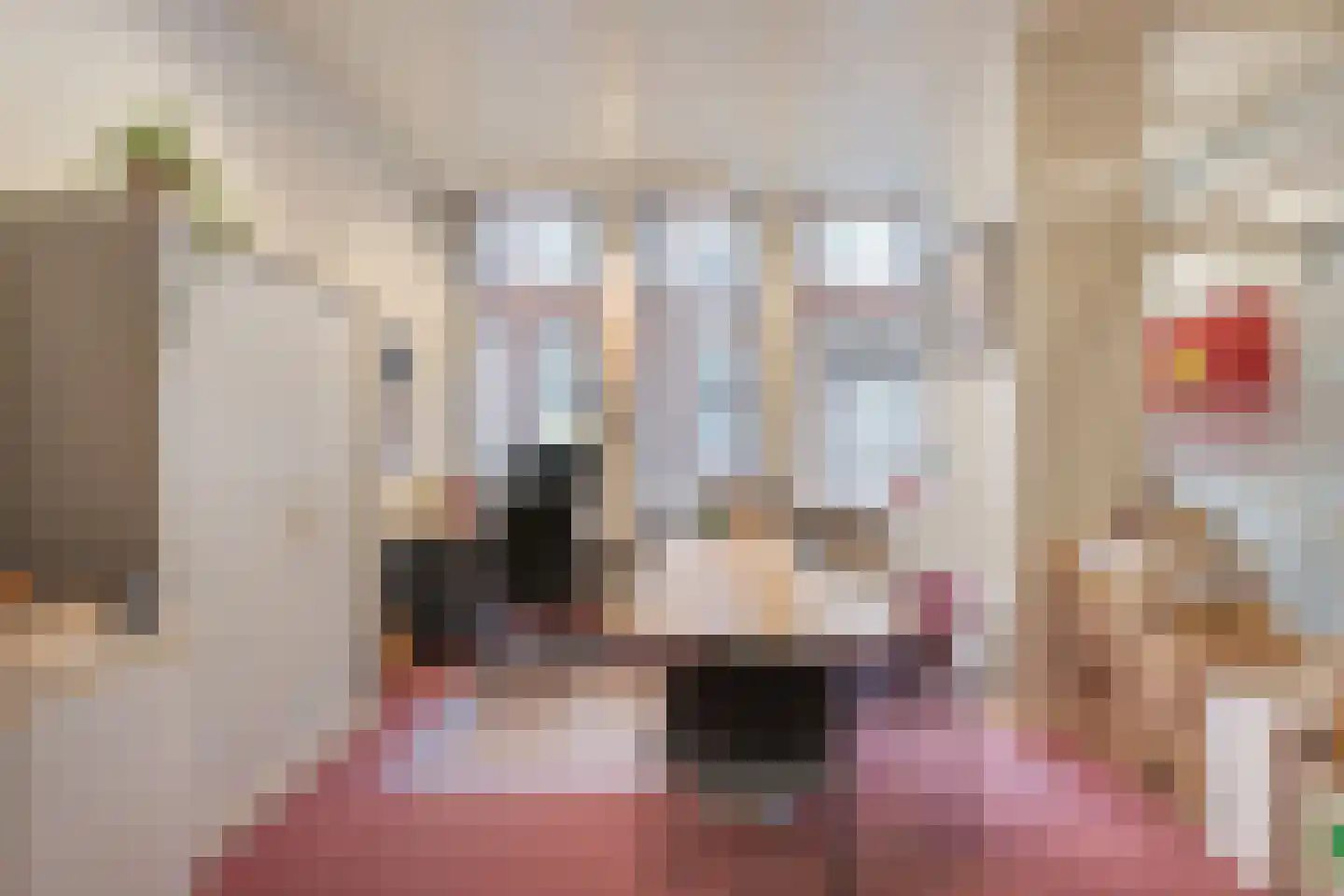 Broederweg 16 Kampen thumbnail 8