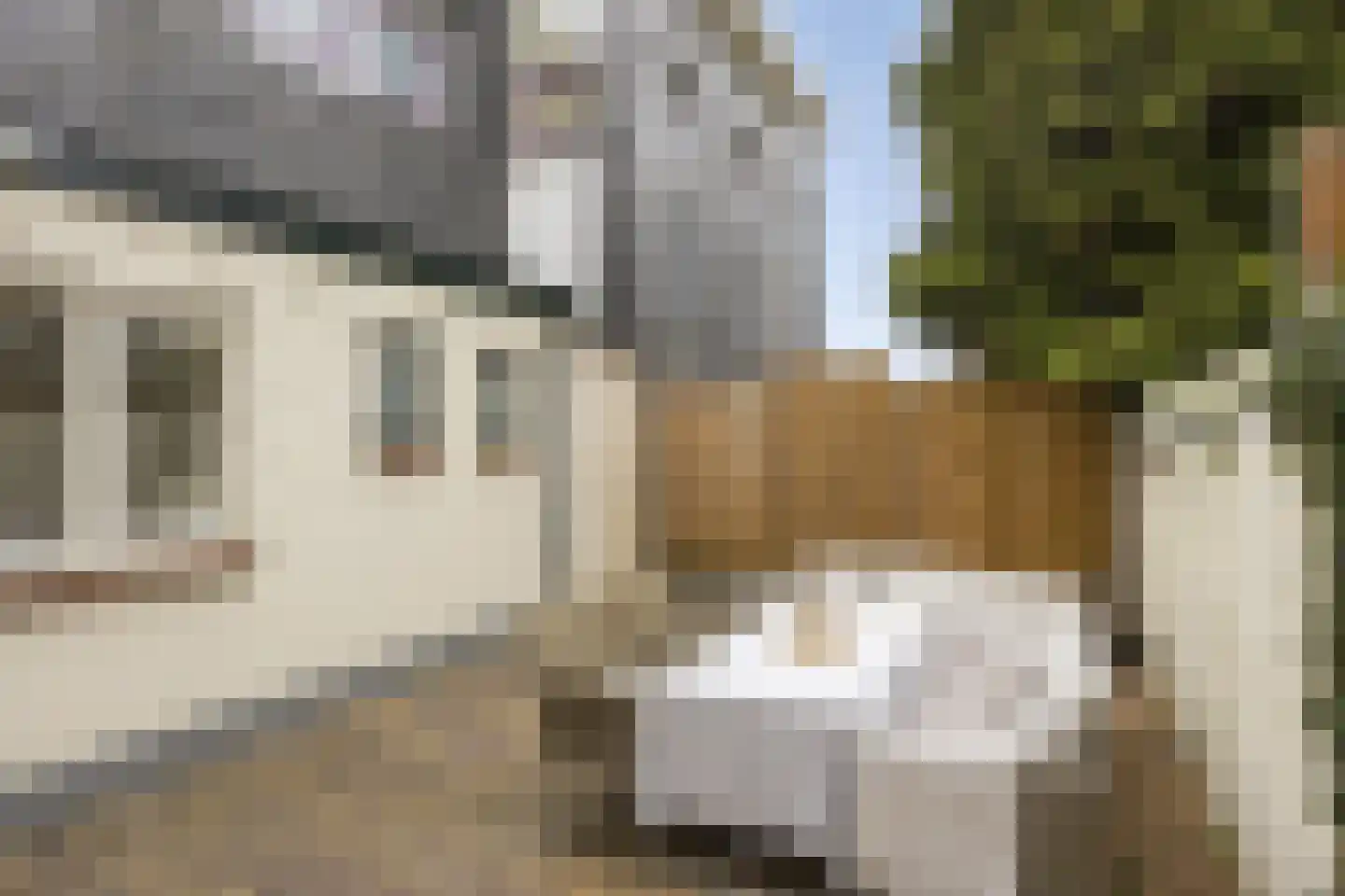 Broederweg 24 Kampen thumbnail 32