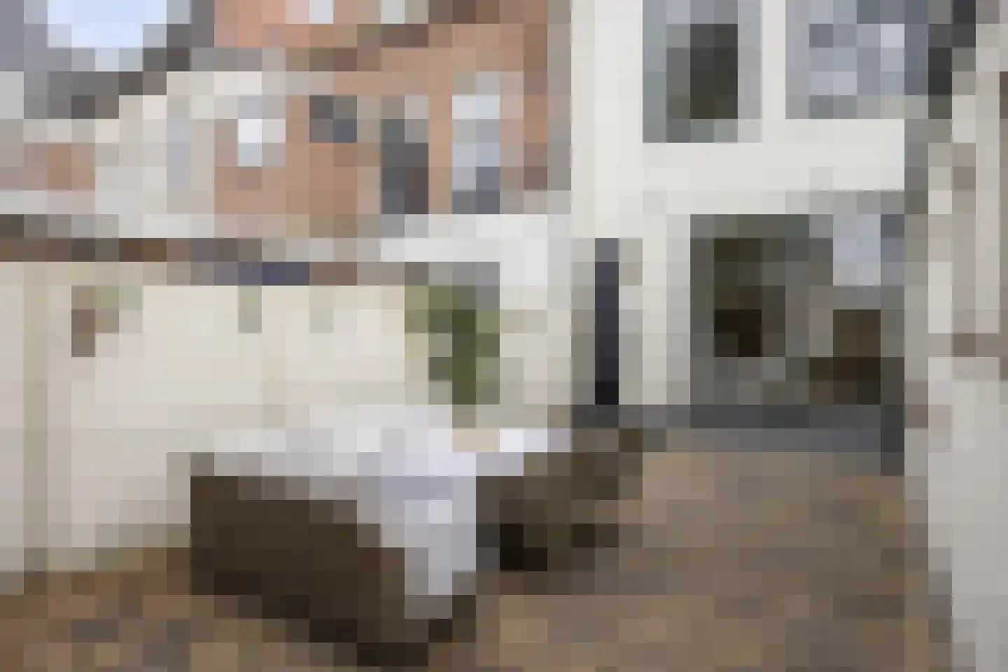 Broederweg 24 Kampen thumbnail 34