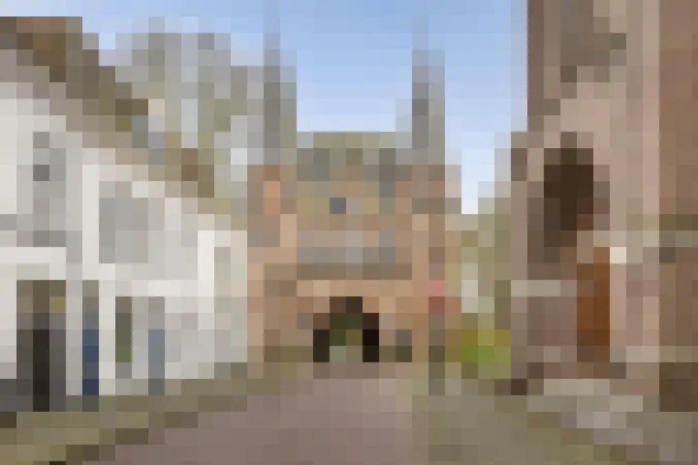 Broederweg 24 Kampen thumbnail 39