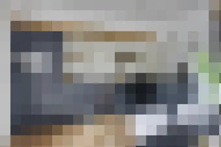 Broederweg 33 Kampen thumbnail 12