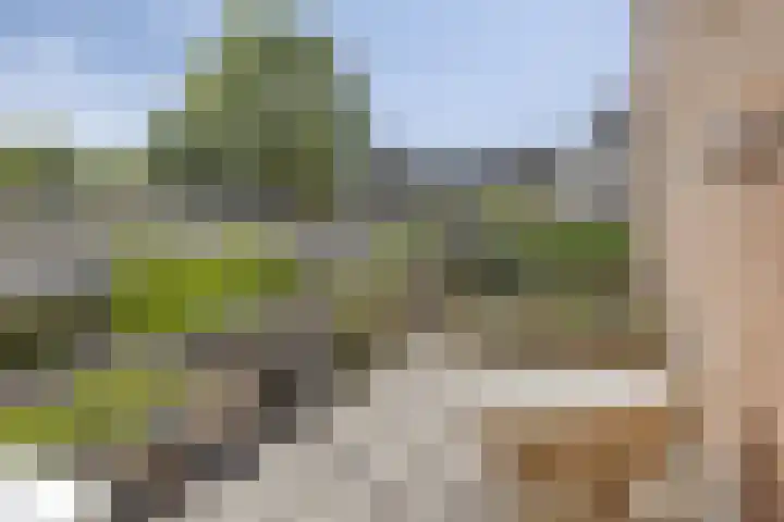 Broederweg 33 Kampen thumbnail 35