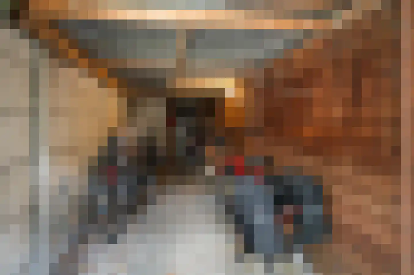 Broederweg 35 D Kampen thumbnail 9