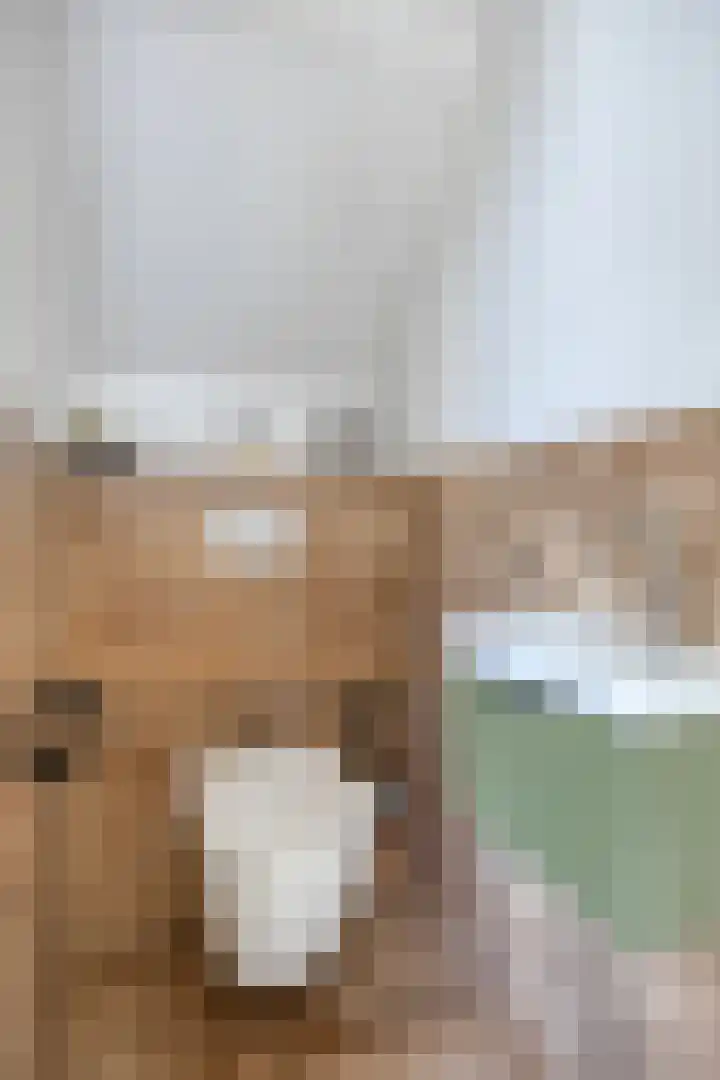 Broedheuvel 4 Best thumbnail 10
