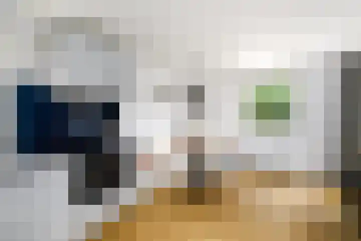Broedheuvel 4 Best thumbnail 18