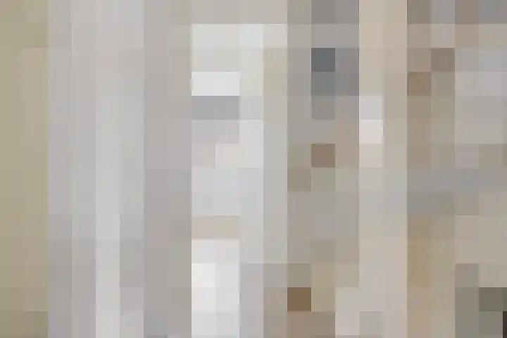 Broedheuvel 4 Best thumbnail 21