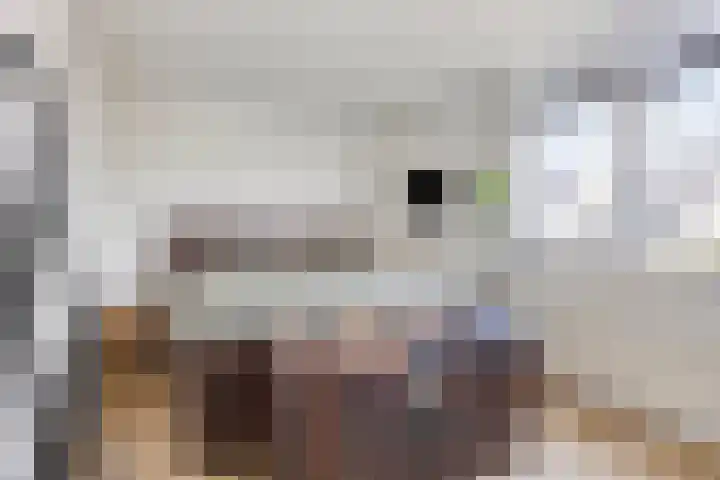 Broedheuvel 4 Best thumbnail 23