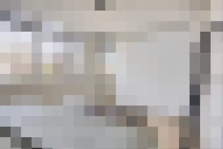 Broedheuvel 4 Best thumbnail 24