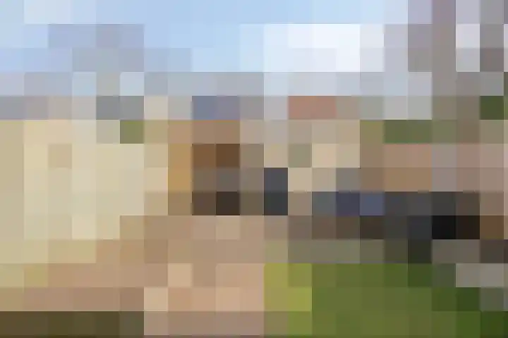 Broedheuvel 4 Best thumbnail 36