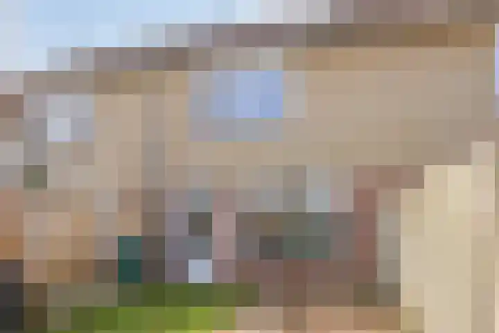 Broedheuvel 4 Best thumbnail 39