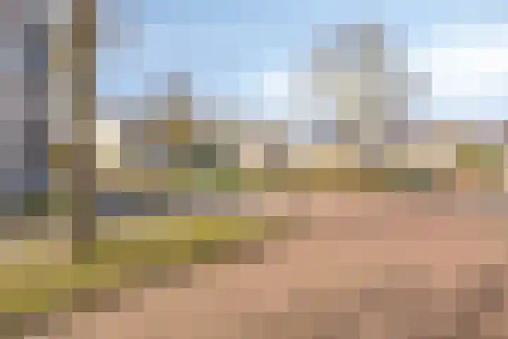 Broedheuvel 4 Best thumbnail 8