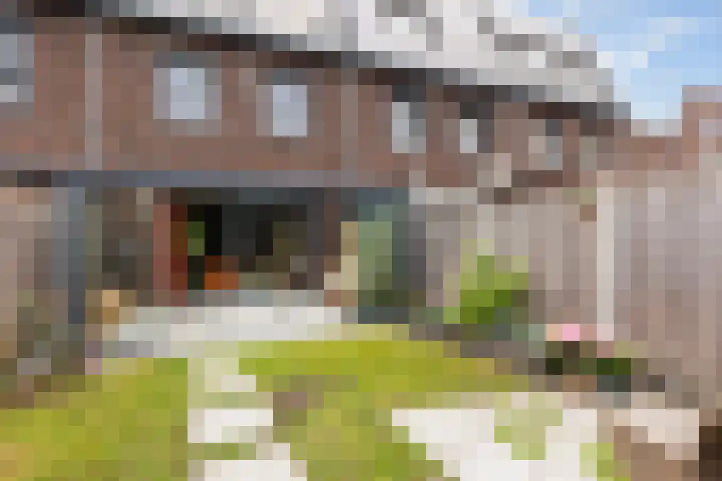 Broedplaats 31 Apeldoorn thumbnail 10