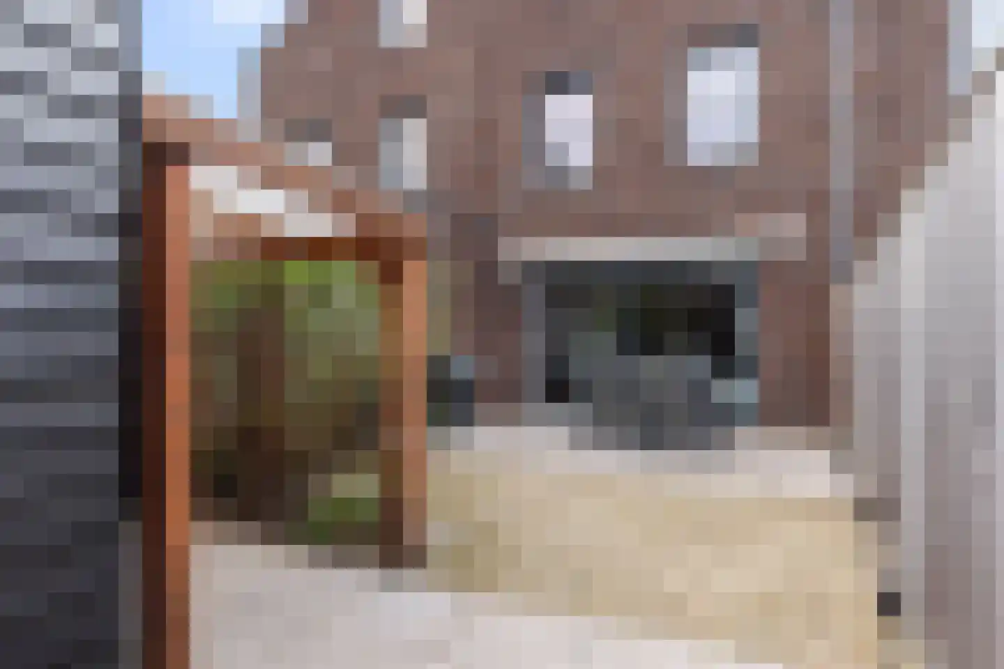 Broedplaats 45 Apeldoorn thumbnail 12