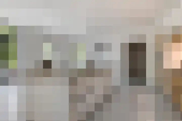 Broek 17 Bocholtz thumbnail 19