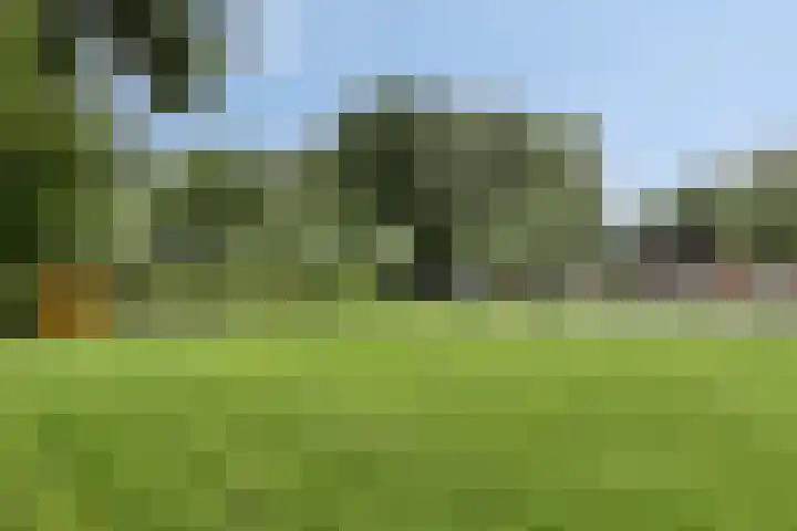 Broek 17 Bocholtz thumbnail 50