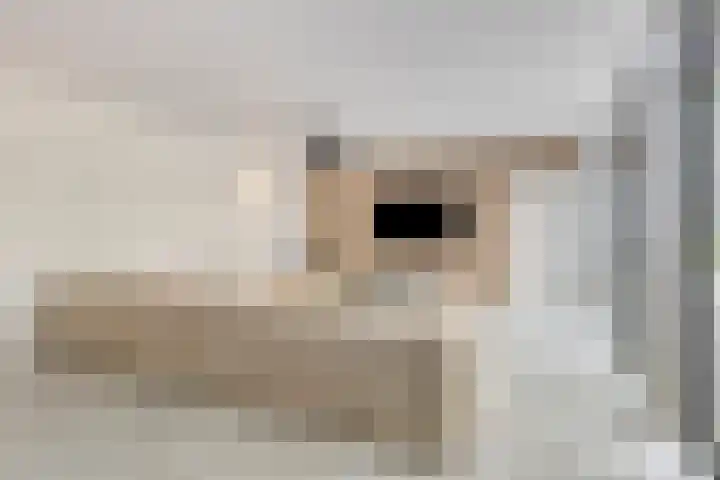Broek 17 Bocholtz thumbnail 6