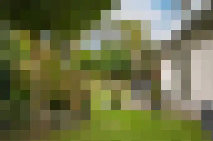 Broek 2 Druten thumbnail 33