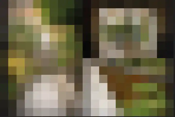 Broek 2 Druten thumbnail 34