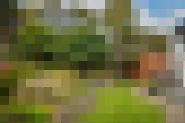 Broek 2 Druten thumbnail 39