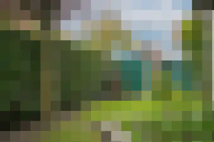 Broek 2 Druten thumbnail 41