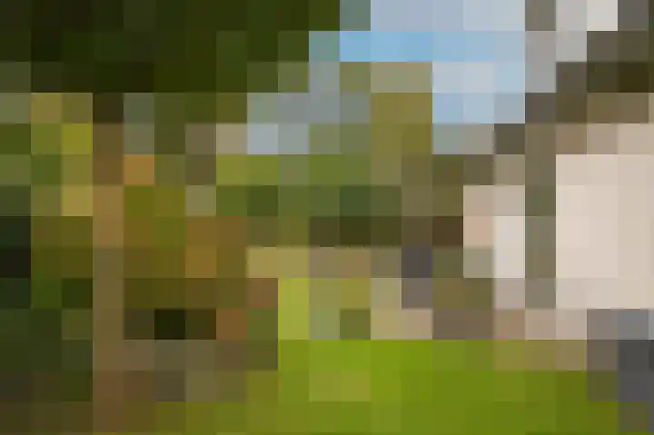 Broek 2 Druten thumbnail 43