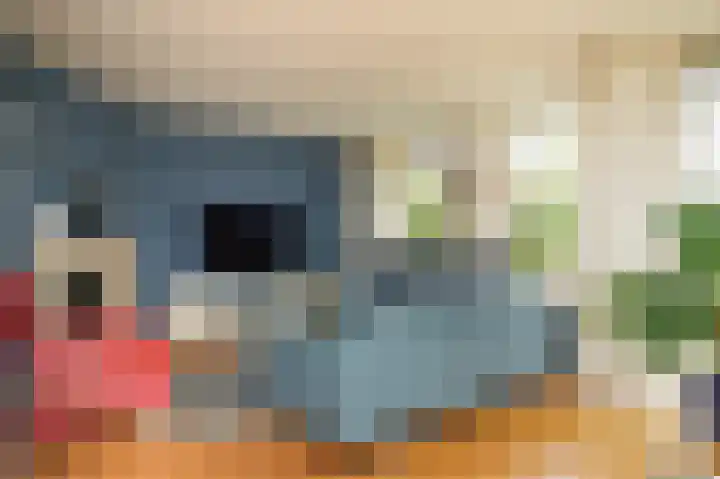Broek 2 Druten thumbnail 9