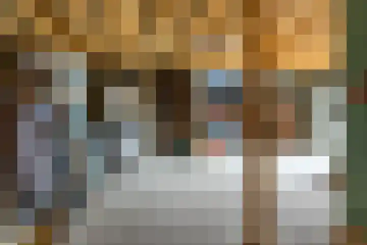 Broek 29 Gieterveen thumbnail 15