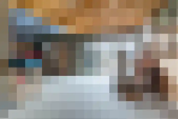 Broek 29 Gieterveen thumbnail 16