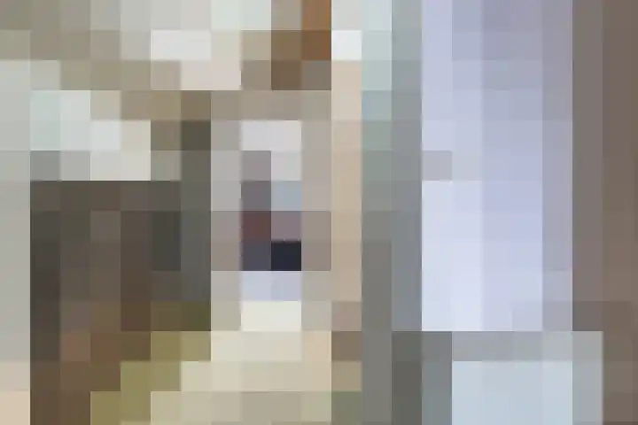 Broek 29 Gieterveen thumbnail 18