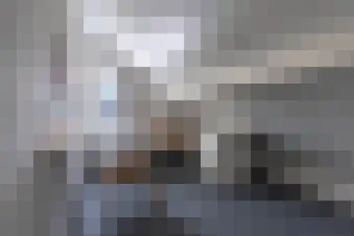 Broek 29 Gieterveen thumbnail 21