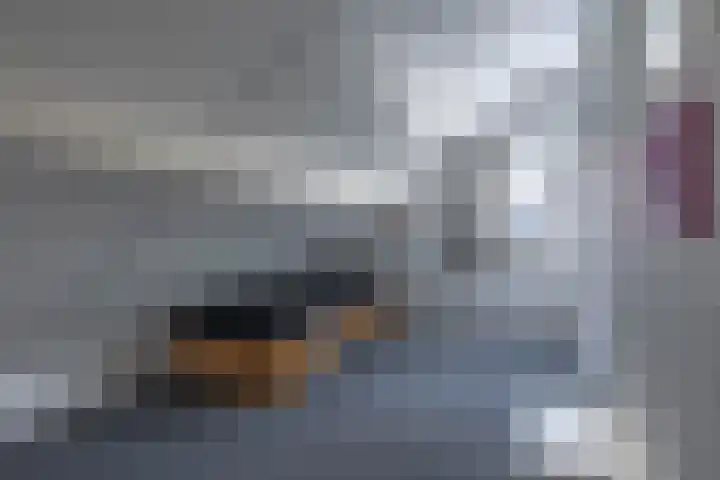 Broek 29 Gieterveen thumbnail 22