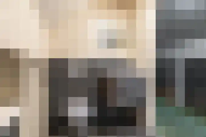 Broek 29 Gieterveen thumbnail 24