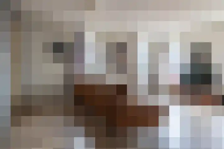 Broek 29 Gieterveen thumbnail 26