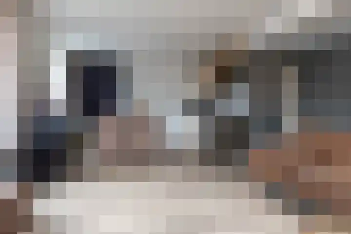 Broek 29 Gieterveen thumbnail 28