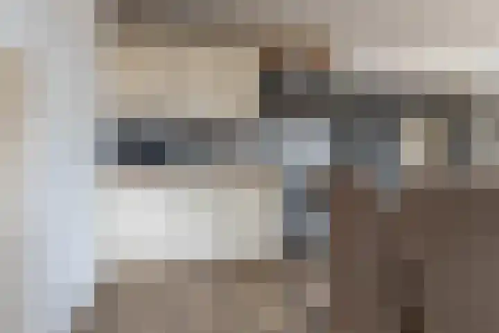 Broek 29 Gieterveen thumbnail 29