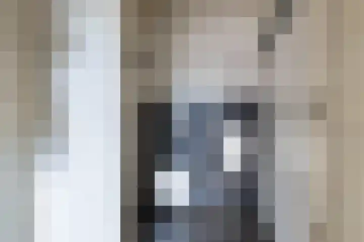 Broek 29 Gieterveen thumbnail 4