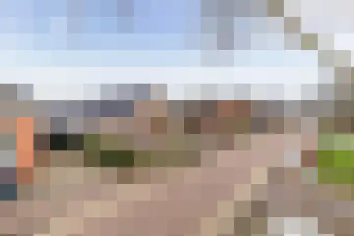 Broek 29 Gieterveen thumbnail 42