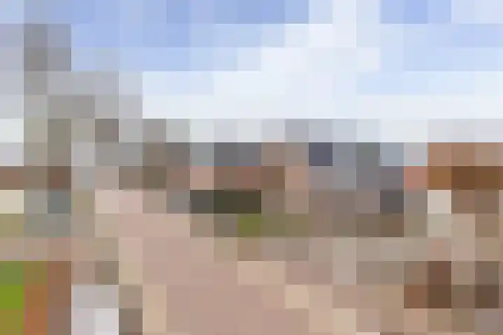 Broek 29 Gieterveen thumbnail 43