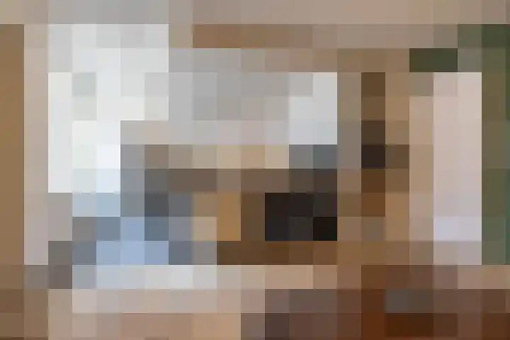 Broek 29 Gieterveen thumbnail 5