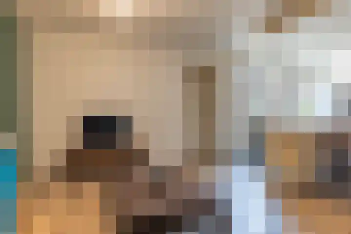 Broek 29 Gieterveen thumbnail 9