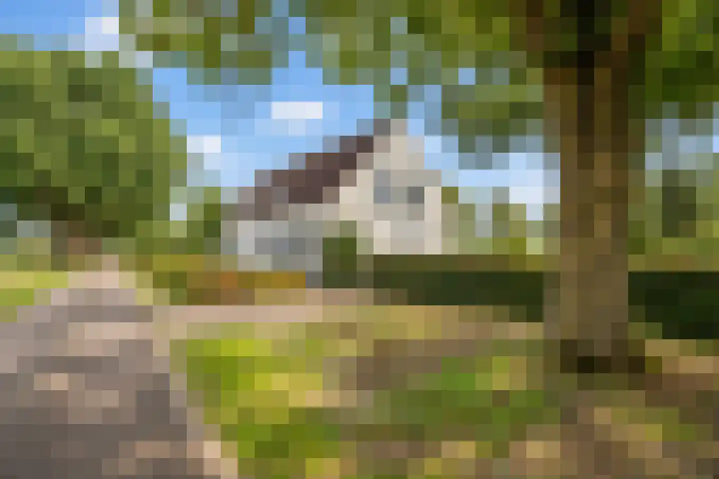 Broek 4 Holthees thumbnail 10