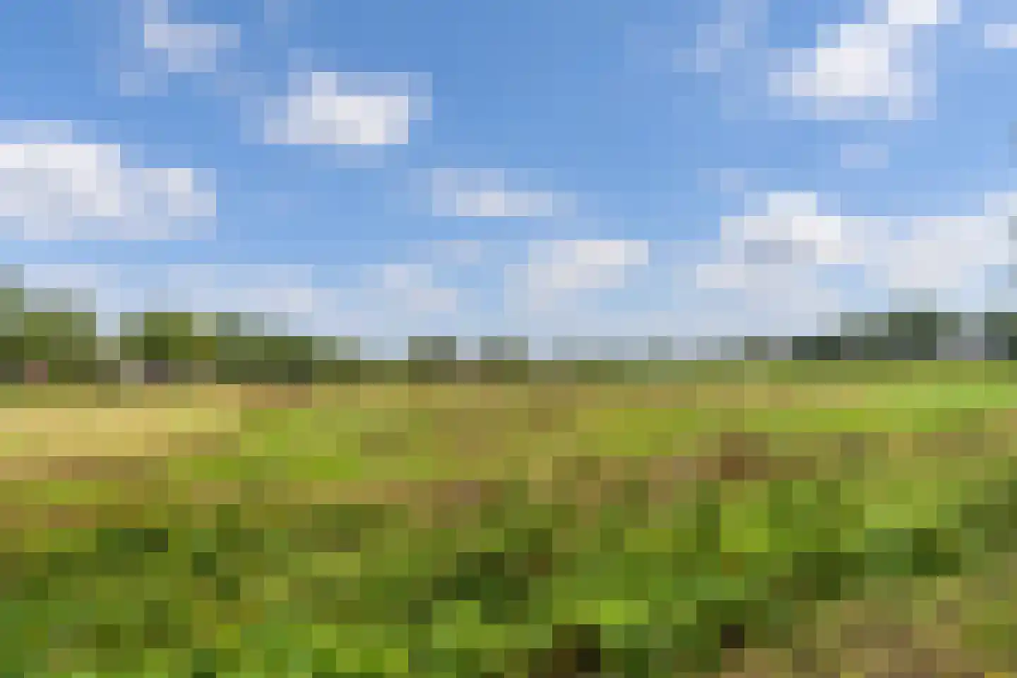 Broek 4 Holthees thumbnail 11