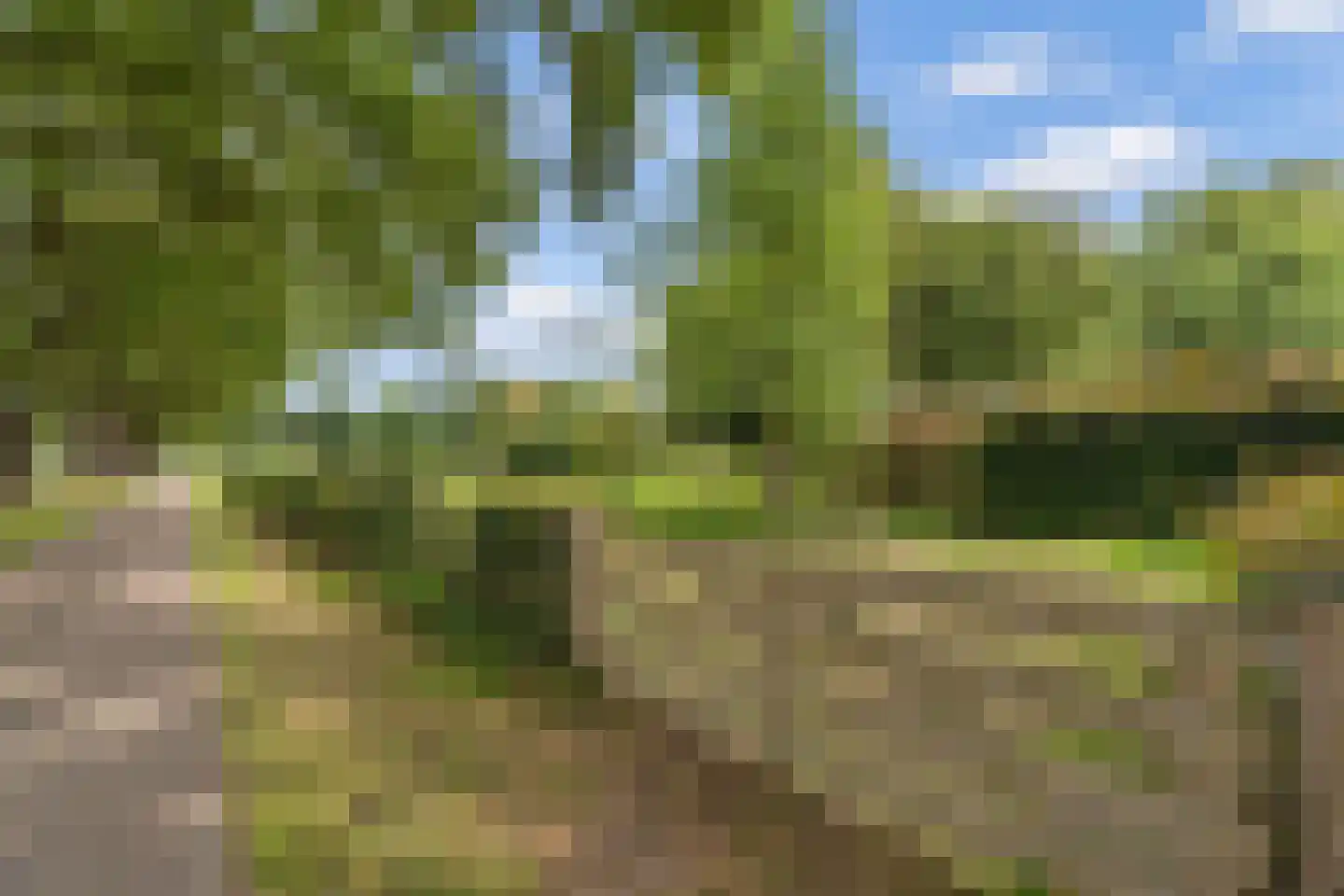 Broek 4 Holthees thumbnail 12